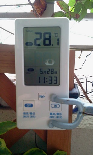 2011-05-29 07.29.01.jpg