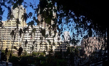 2011-09-22 07.03.34.jpg