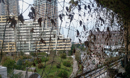 2011-10-08 10.18.40.jpg