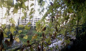 2011-09-13 06.35.23.jpg